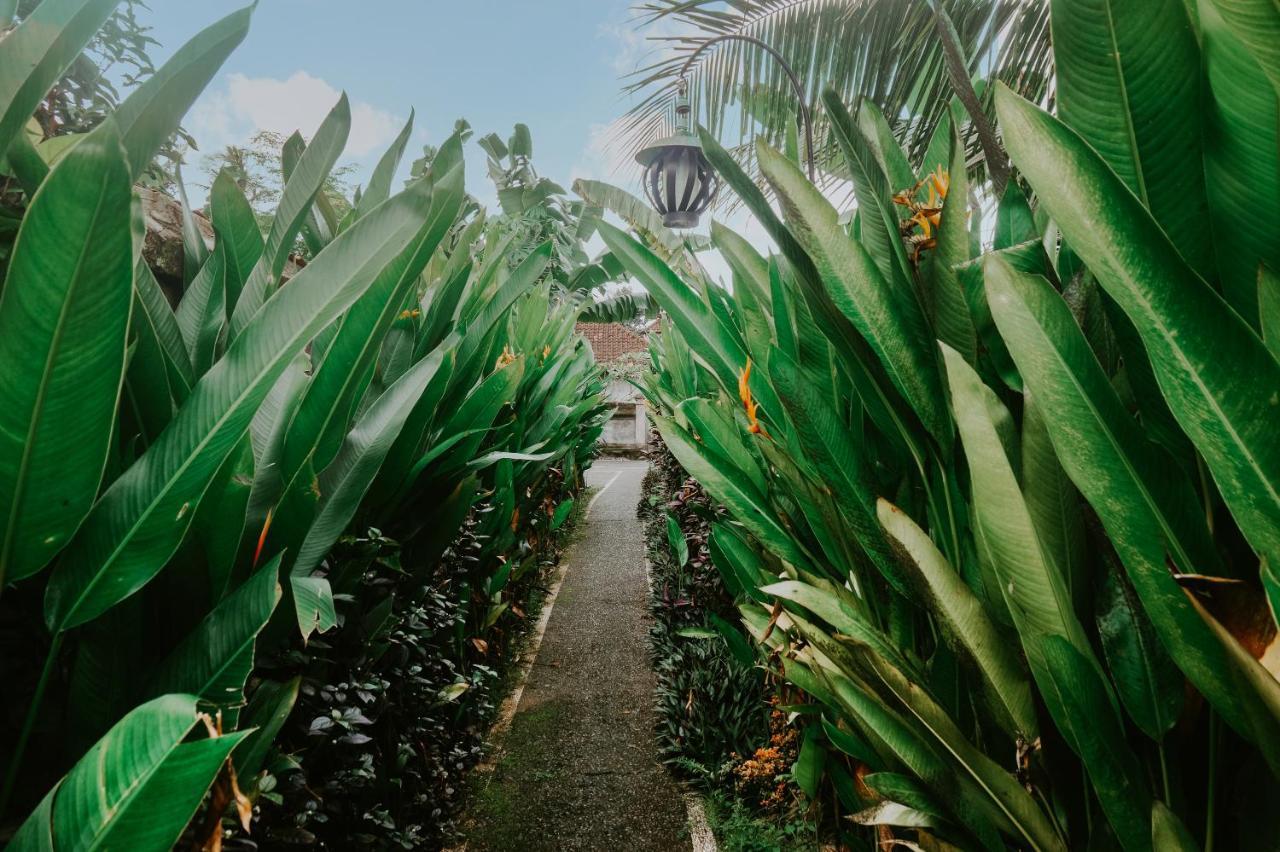 Anggira Villa Ubud Extérieur photo